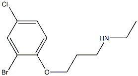 [3-(2-bromo-4-chlorophenoxy)propyl](ethyl)amine 化学構造式