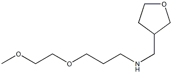 [3-(2-methoxyethoxy)propyl](oxolan-3-ylmethyl)amine Structure
