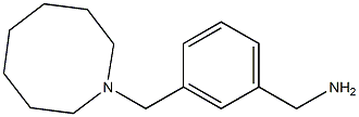 [3-(azocan-1-ylmethyl)phenyl]methanamine 结构式