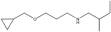 [3-(cyclopropylmethoxy)propyl](2-methylbutyl)amine 结构式