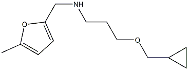 [3-(cyclopropylmethoxy)propyl][(5-methylfuran-2-yl)methyl]amine