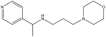  [3-(morpholin-4-yl)propyl][1-(pyridin-4-yl)ethyl]amine