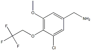 [3-chloro-5-methoxy-4-(2,2,2-trifluoroethoxy)phenyl]methanamine