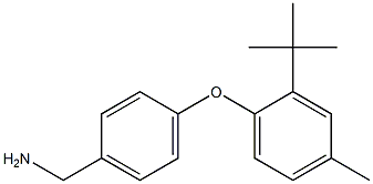 [4-(2-tert-butyl-4-methylphenoxy)phenyl]methanamine,,结构式