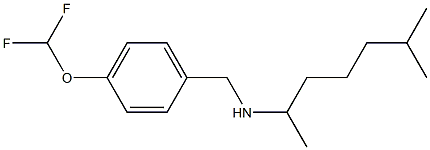 {[4-(difluoromethoxy)phenyl]methyl}(6-methylheptan-2-yl)amine Structure