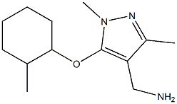 {1,3-dimethyl-5-[(2-methylcyclohexyl)oxy]-1H-pyrazol-4-yl}methanamine|