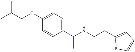  {1-[4-(2-methylpropoxy)phenyl]ethyl}[2-(thiophen-2-yl)ethyl]amine