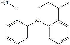 {2-[2-(butan-2-yl)phenoxy]phenyl}methanamine