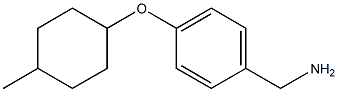 {4-[(4-methylcyclohexyl)oxy]phenyl}methanamine Struktur