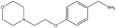 {4-[2-(morpholin-4-yl)ethoxy]phenyl}methanamine 化学構造式