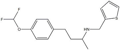 {4-[4-(difluoromethoxy)phenyl]butan-2-yl}(thiophen-2-ylmethyl)amine