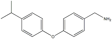 {4-[4-(propan-2-yl)phenoxy]phenyl}methanamine