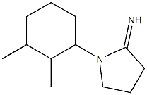 1-(2,3-dimethylcyclohexyl)pyrrolidin-2-imine Structure