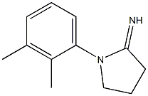 1-(2,3-dimethylphenyl)pyrrolidin-2-imine 结构式
