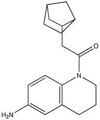 1-(6-amino-1,2,3,4-tetrahydroquinolin-1-yl)-2-{bicyclo[2.2.1]heptan-2-yl}ethan-1-one|