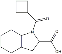 1-(cyclobutylcarbonyl)octahydro-1H-indole-2-carboxylic acid