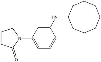 1-[3-(cyclooctylamino)phenyl]pyrrolidin-2-one,,结构式
