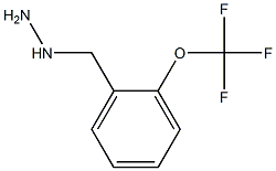  1-{[2-(trifluoromethoxy)phenyl]methyl}hydrazine