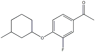 1-{3-fluoro-4-[(3-methylcyclohexyl)oxy]phenyl}ethan-1-one 结构式