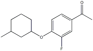 1-{3-fluoro-4-[(3-methylcyclohexyl)oxy]phenyl}ethan-1-one,,结构式