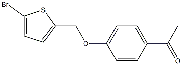  1-{4-[(5-bromothien-2-yl)methoxy]phenyl}ethanone