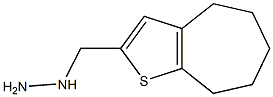 1-{4H,5H,6H,7H,8H-cyclohepta[b]thiophen-2-ylmethyl}hydrazine,,结构式