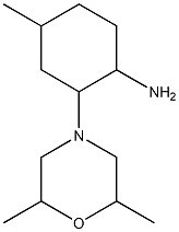 2-(2,6-dimethylmorpholin-4-yl)-4-methylcyclohexanamine