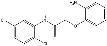 2-(2-aminophenoxy)-N-(2,5-dichlorophenyl)acetamide Structure