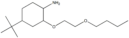 2-(2-butoxyethoxy)-4-tert-butylcyclohexan-1-amine Structure