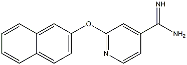 2-(2-naphthyloxy)pyridine-4-carboximidamide