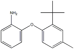 2-(2-tert-butyl-4-methylphenoxy)aniline 化学構造式