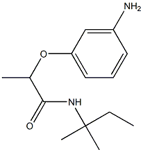 2-(3-aminophenoxy)-N-(2-methylbutan-2-yl)propanamide 结构式