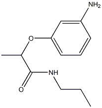 2-(3-aminophenoxy)-N-propylpropanamide 结构式