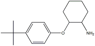 2-(4-tert-butylphenoxy)cyclohexan-1-amine 化学構造式