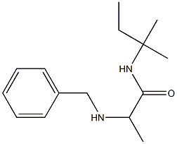 2-(benzylamino)-N-(2-methylbutan-2-yl)propanamide|