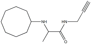 2-(cyclooctylamino)-N-(prop-2-yn-1-yl)propanamide Struktur