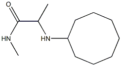 2-(cyclooctylamino)-N-methylpropanamide,,结构式