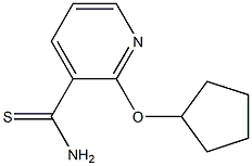 2-(cyclopentyloxy)pyridine-3-carbothioamide,,结构式