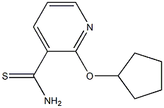 2-(cyclopentyloxy)pyridine-3-carbothioamide Struktur