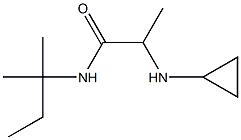 2-(cyclopropylamino)-N-(2-methylbutan-2-yl)propanamide Struktur