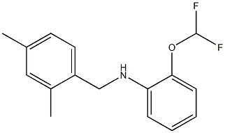 2-(difluoromethoxy)-N-[(2,4-dimethylphenyl)methyl]aniline,,结构式