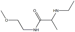 2-(ethylamino)-N-(2-methoxyethyl)propanamide 化学構造式