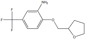 2-(oxolan-2-ylmethoxy)-5-(trifluoromethyl)aniline,,结构式