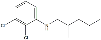 2,3-dichloro-N-(2-methylpentyl)aniline Structure