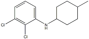 2,3-dichloro-N-(4-methylcyclohexyl)aniline Structure