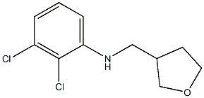 2,3-dichloro-N-(oxolan-3-ylmethyl)aniline Structure