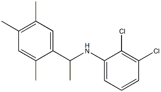 2,3-dichloro-N-[1-(2,4,5-trimethylphenyl)ethyl]aniline Structure