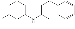 2,3-dimethyl-N-(4-phenylbutan-2-yl)cyclohexan-1-amine Struktur
