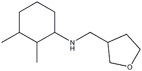 2,3-dimethyl-N-(oxolan-3-ylmethyl)cyclohexan-1-amine|