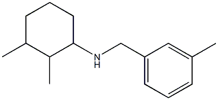 2,3-dimethyl-N-[(3-methylphenyl)methyl]cyclohexan-1-amine